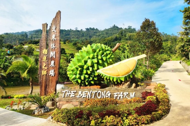 The Bentong Farm Fruit Feast Tickets